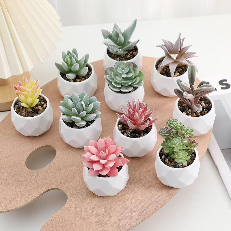 Cactus Mix Pot - Mini Kunstplanten Simulatie Groenblijvende Succulente Cactus