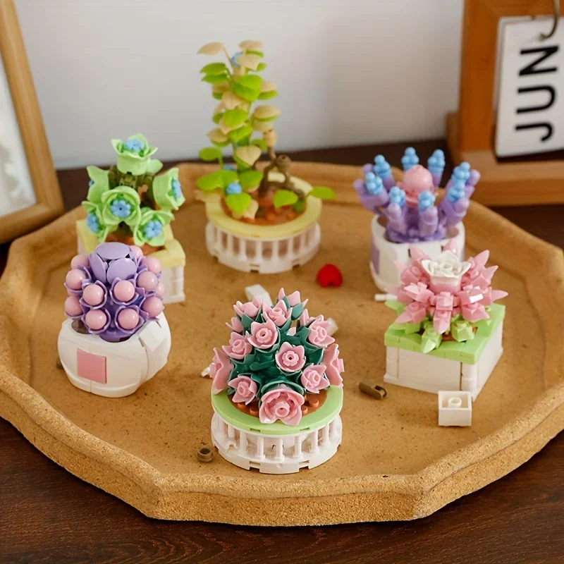 Cactus Mix Pot - Blokkenset Stad DIY Potplanten Vetplanten Cactus