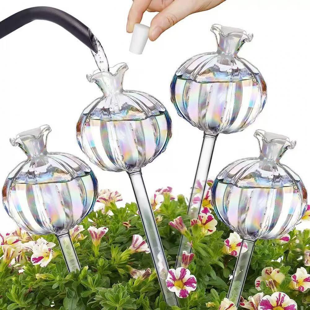 Cactus Mix Pot - 24 Cm Cactus Zelf Watering Bollen