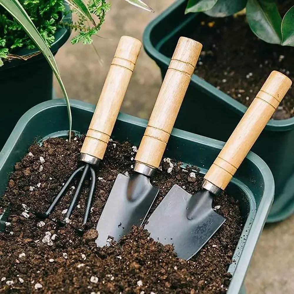 Cactus Mix Pot - 3 stks/set Mini Tuingereedschap Set Voor