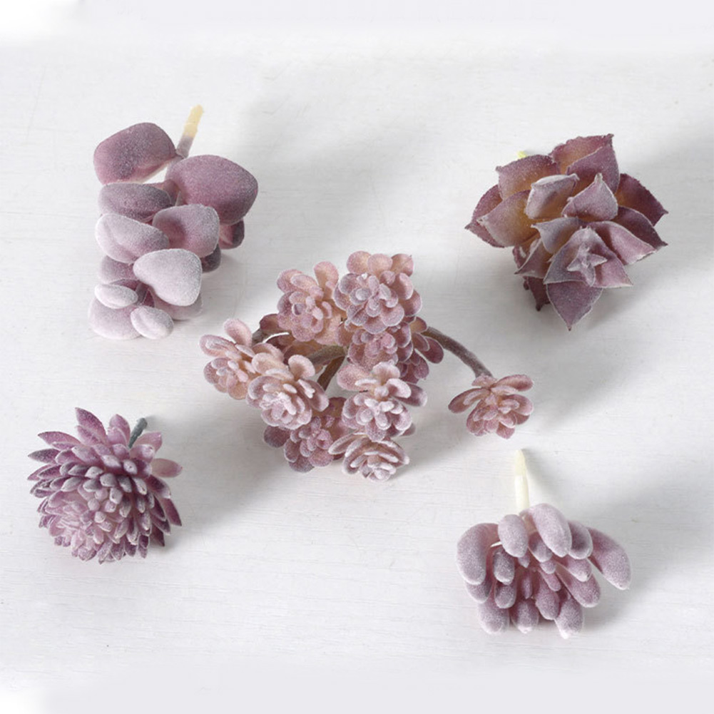 Succulent Arrangement Mini - Charmant voor mini bonsai succulent arrangement