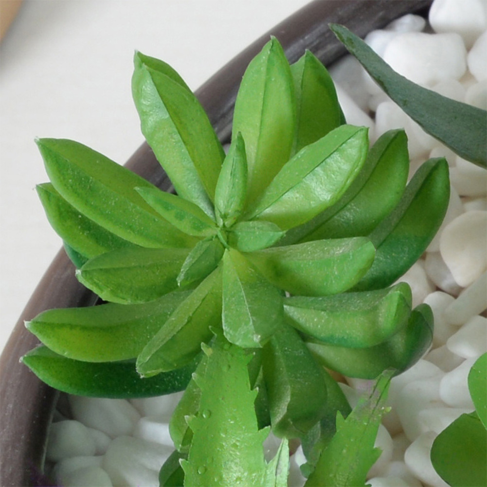 Succulent Arrangement Mini - Modern kunstmatig succulentenarrangement met mini-bonsai thema
