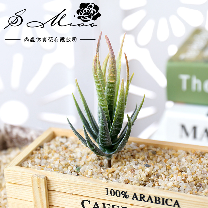 Succulent Arrangement Mini - Wusmart Ban Ma Lu Hui Kunstplanten