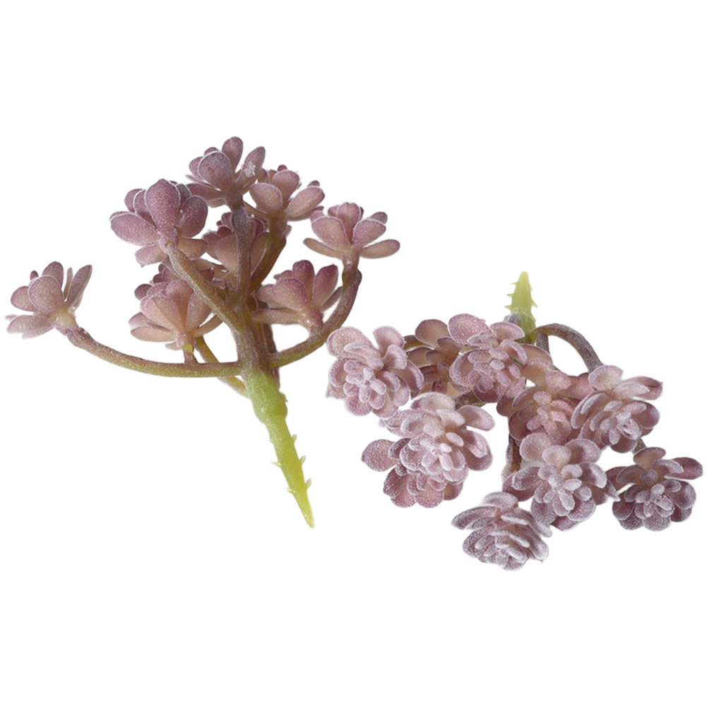 Succulent Arrangement Mini - PVC gevlokte paarse nep-succulenten voor kleine