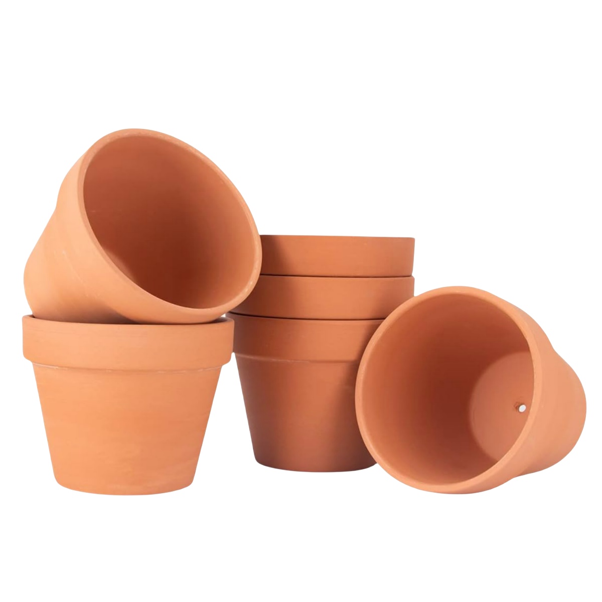 6 stks 4 inch Terracotta Potte - Cactus Mix Pot recensie en prijs