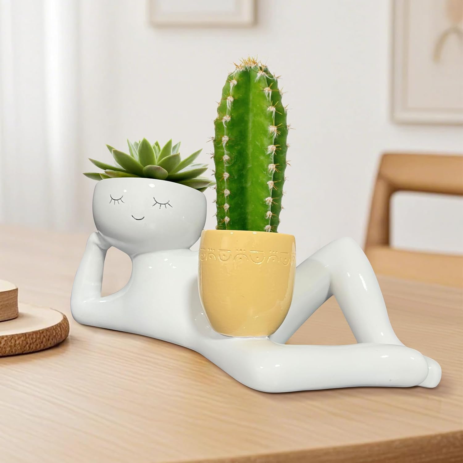 Lazy Little Guy Planter Unieke - Cactus Mix Pot recensie en prijs