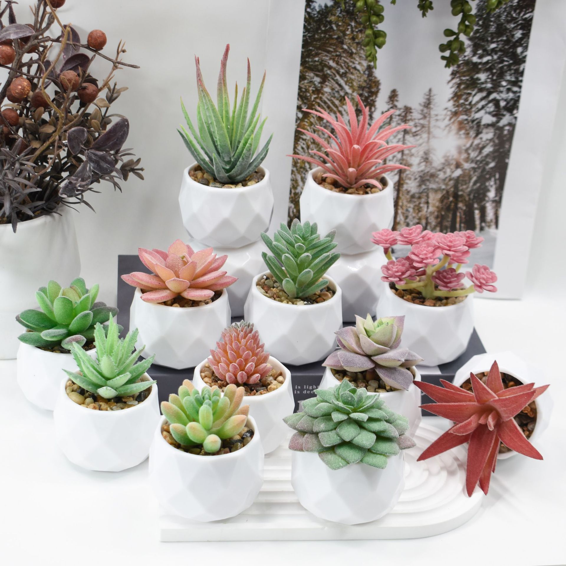 Mini Kunstplanten Simulatie Gr - Cactus Mix Pot recensie en prijs