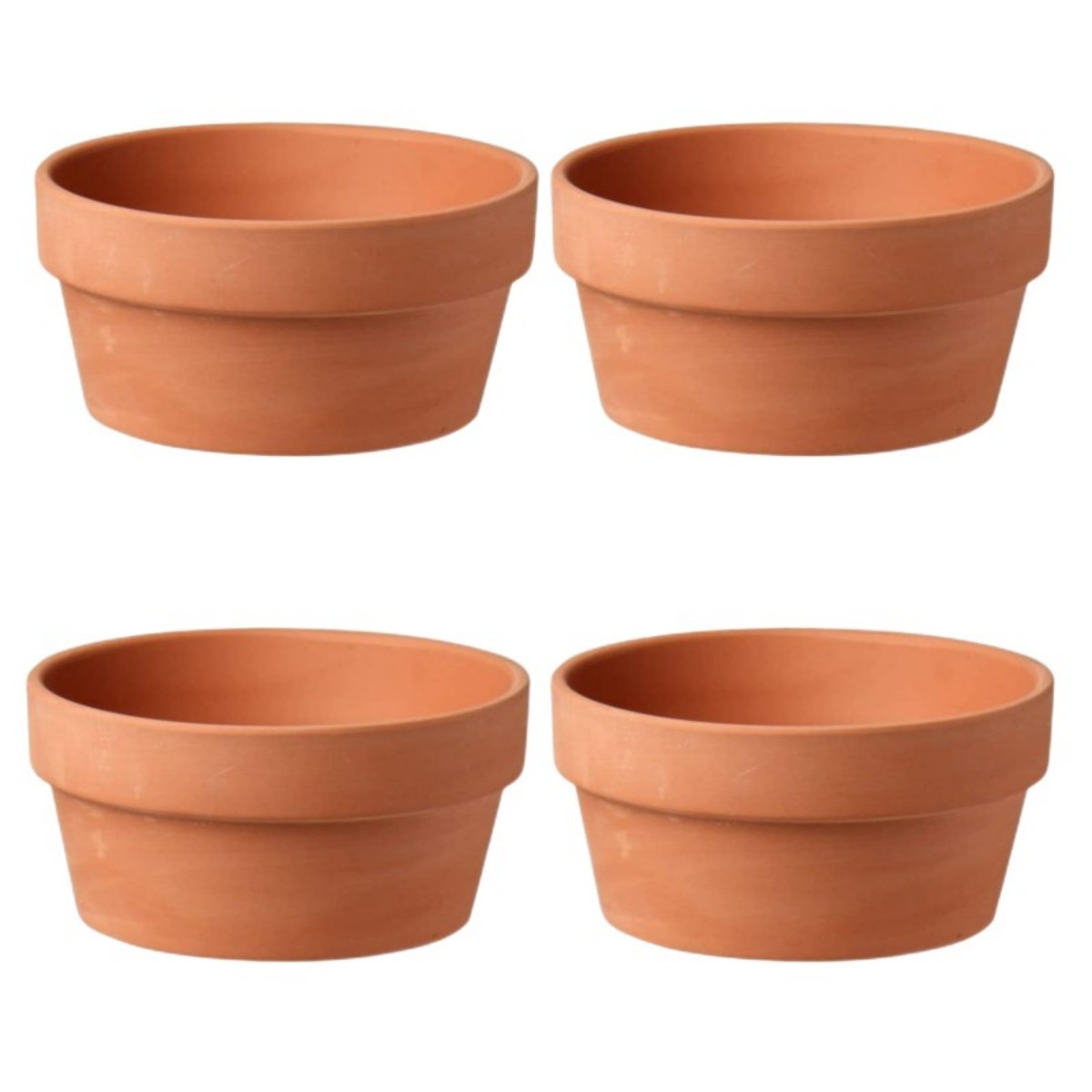 6 Stuks Terracotta Buldpotten  - Cactus Mix Pot recensie en prijs