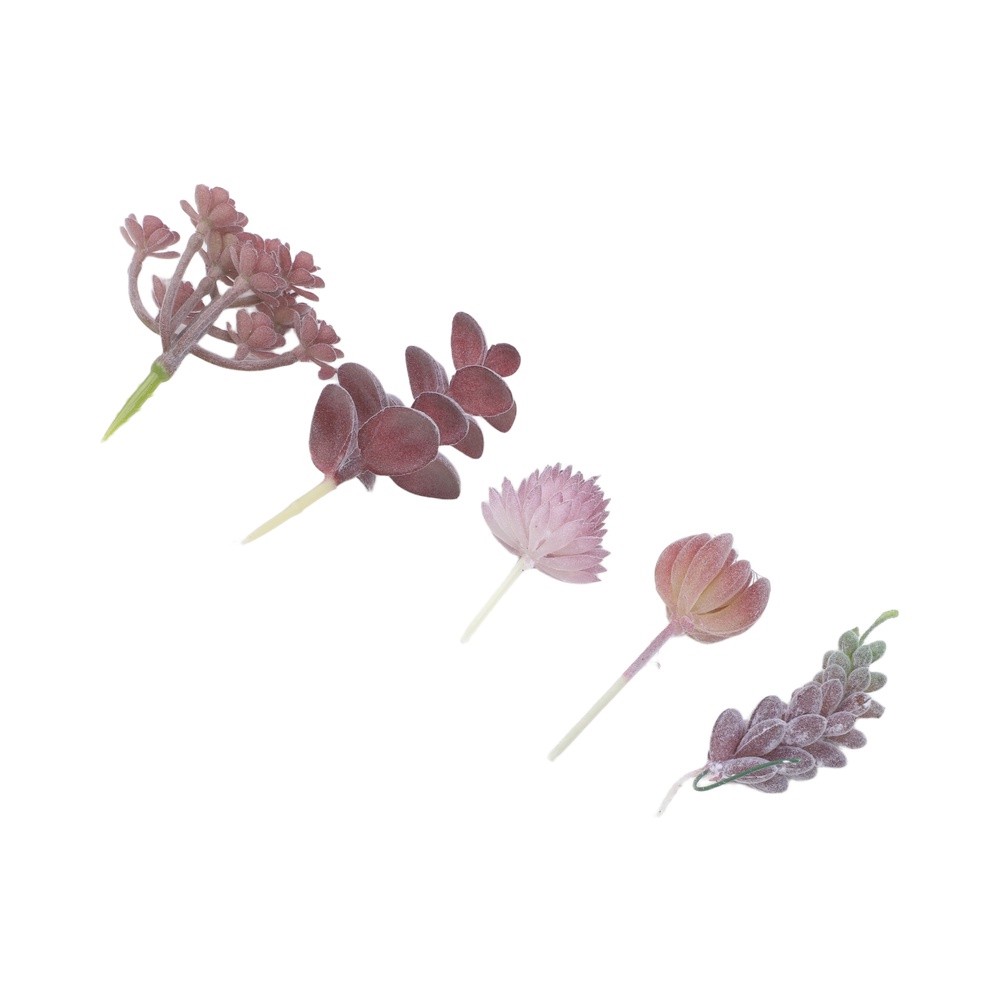 Kunstmatige mini-bonsai succul - Succulent Arrangement Mini recensie en prijs