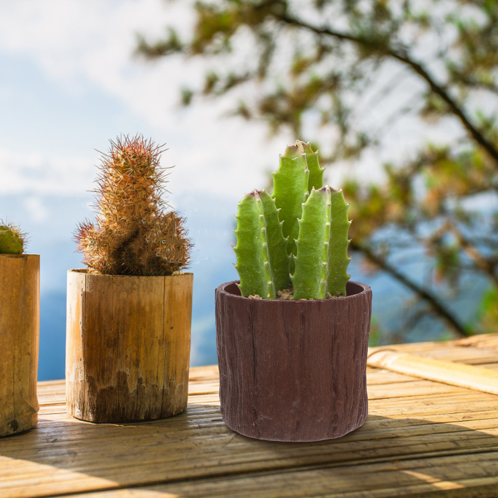 4 stuks plastic imitatiehouten - Succulent Arrangement Mini recensie en prijs