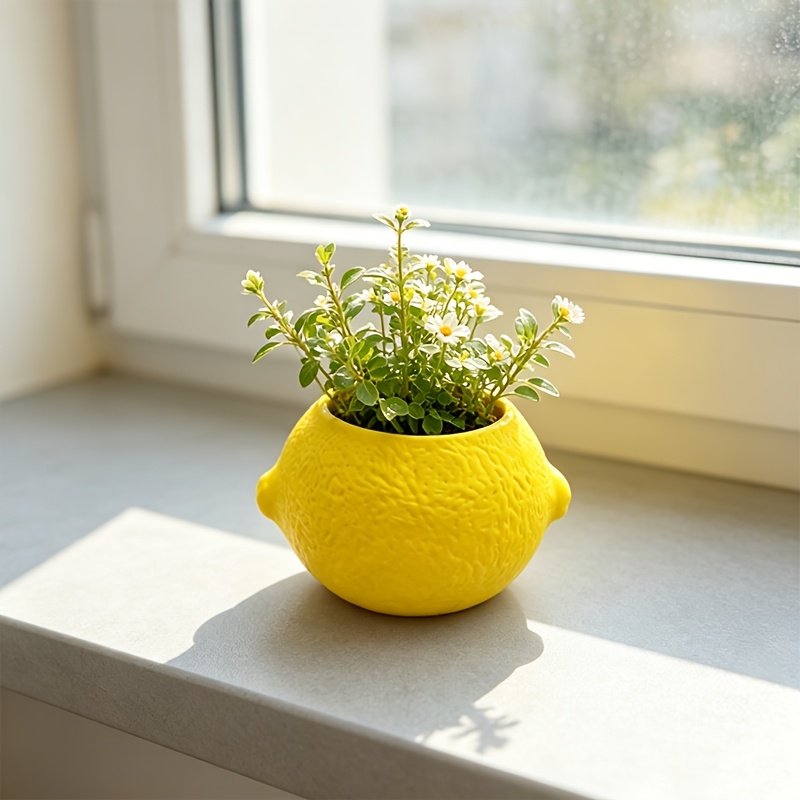 Citroenvormige decoratieve pla - Cactus Mix Pot recensie en prijs