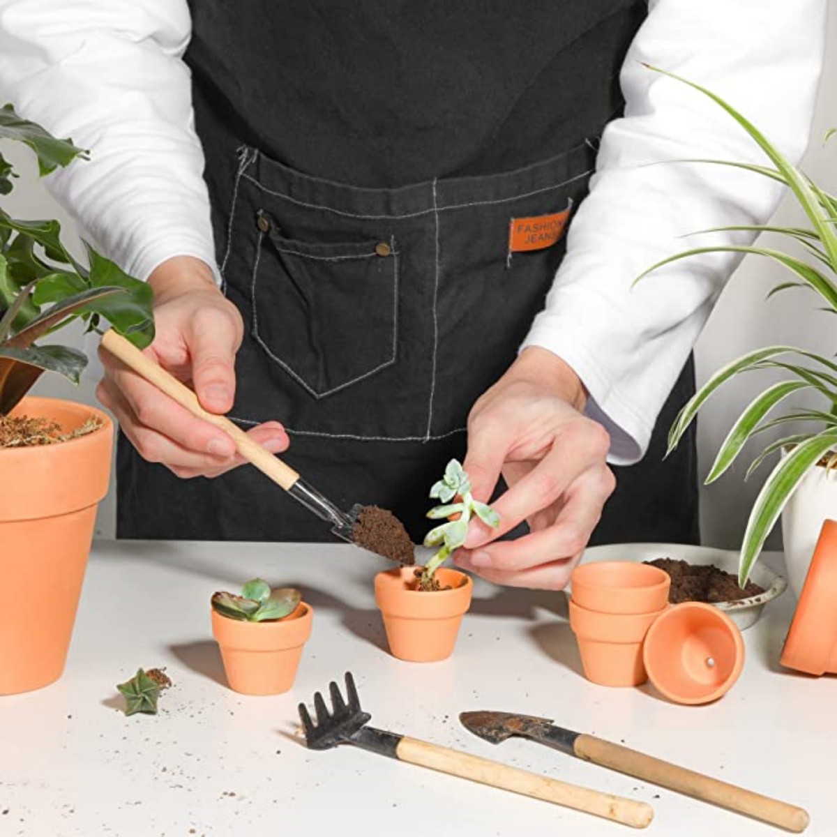 16 stuks 1,8 '' Terra Cotta po - Cactus Mix Pot recensie en prijs