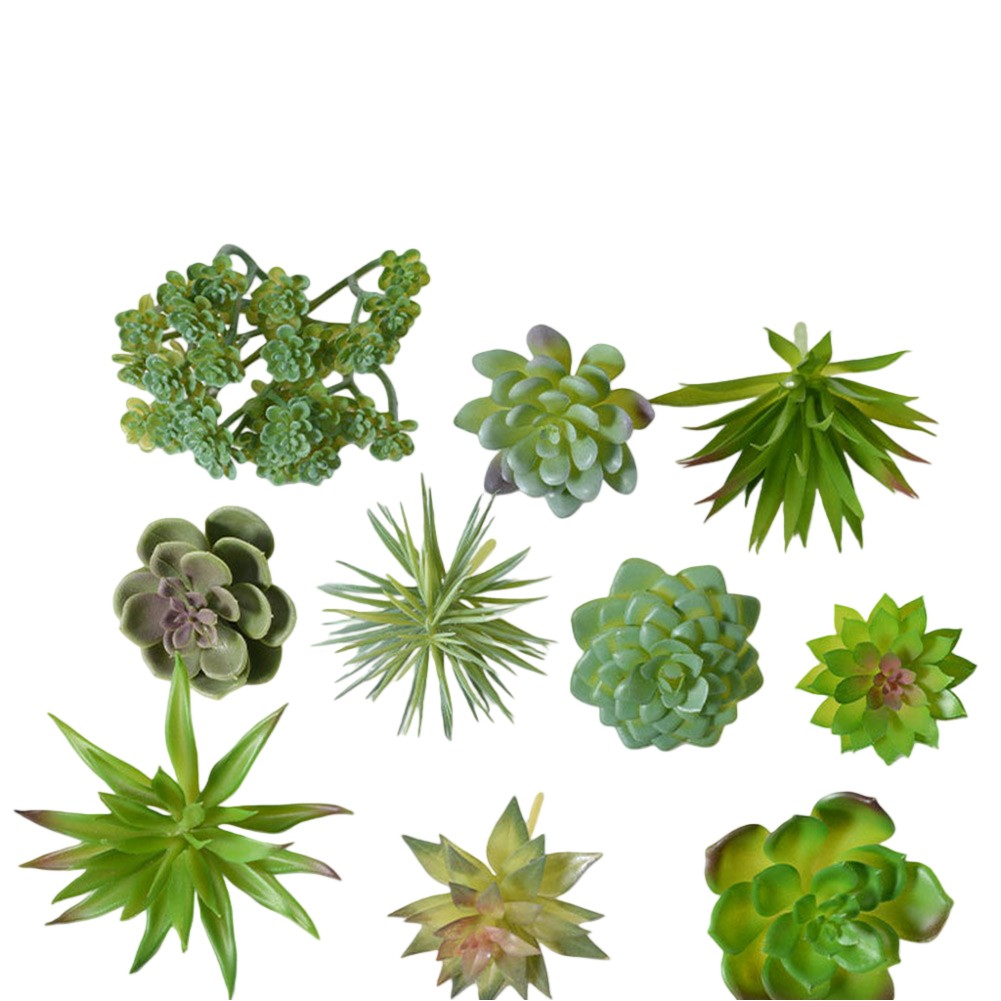 Plastic plantenarrangement in  - Succulent Arrangement Mini recensie en prijs