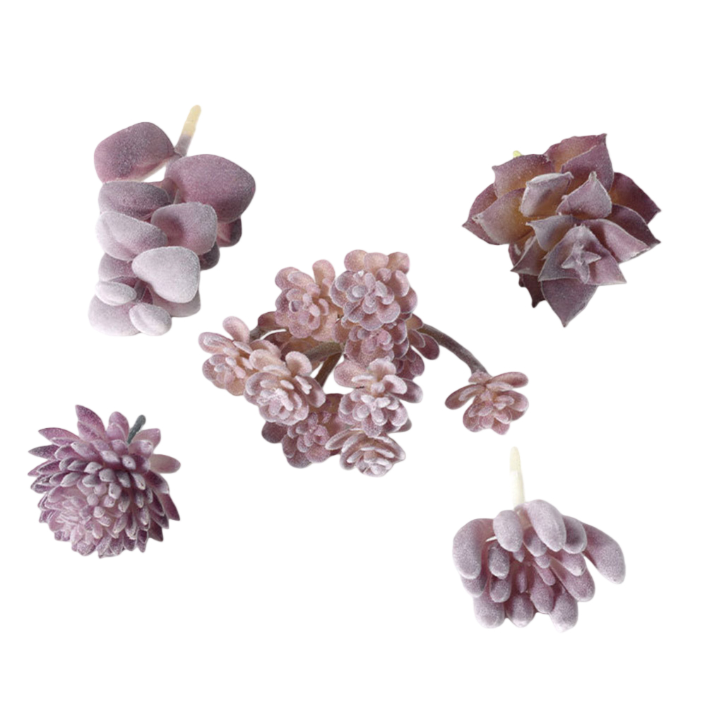 Plastic plantenarrangement in  - Succulent Arrangement Mini recensie en prijs