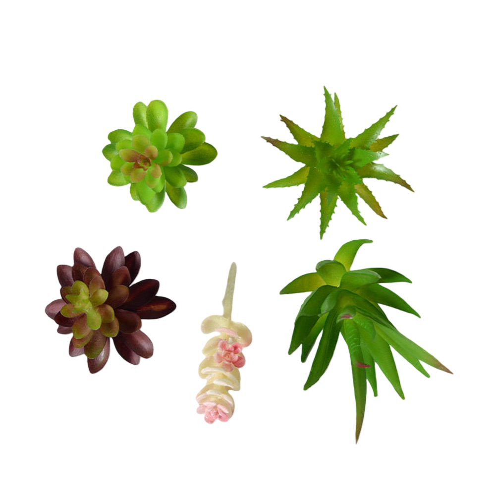 Plastic plantenarrangement in  - Succulent Arrangement Mini recensie en prijs