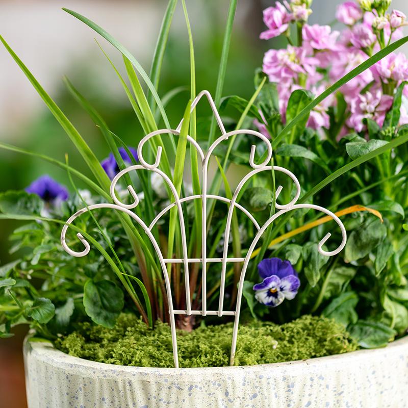 Grappige mini ijzeren bloempot - Succulent Arrangement Mini recensie en prijs