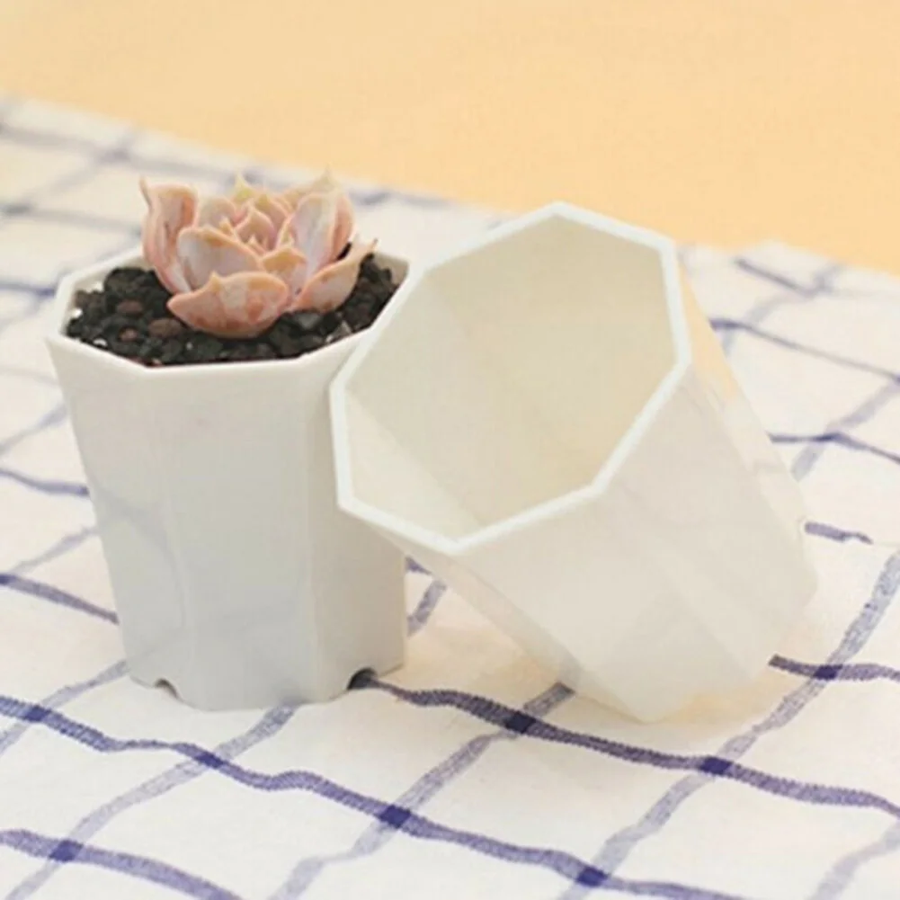 10 stuks plastic mini-bloempot - Succulent Arrangement Mini recensie en prijs