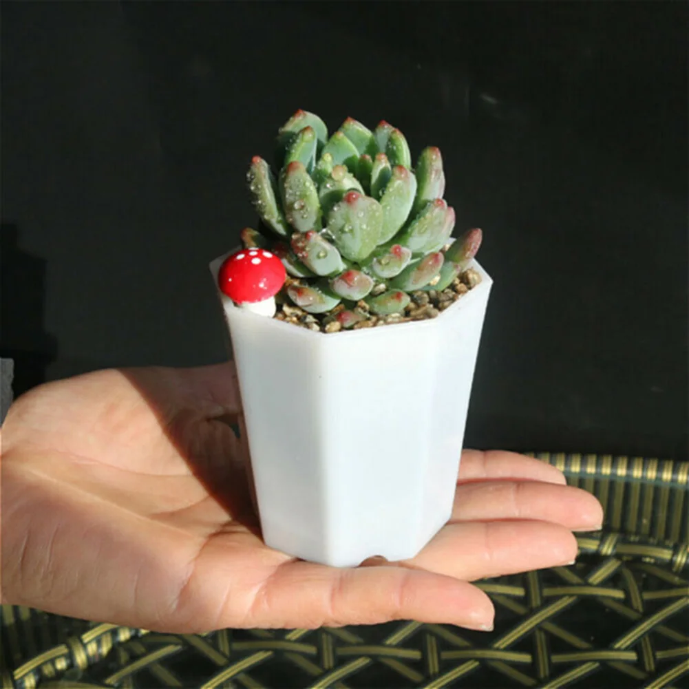 10 stuks plastic mini-bloempot - Succulent Arrangement Mini recensie en prijs