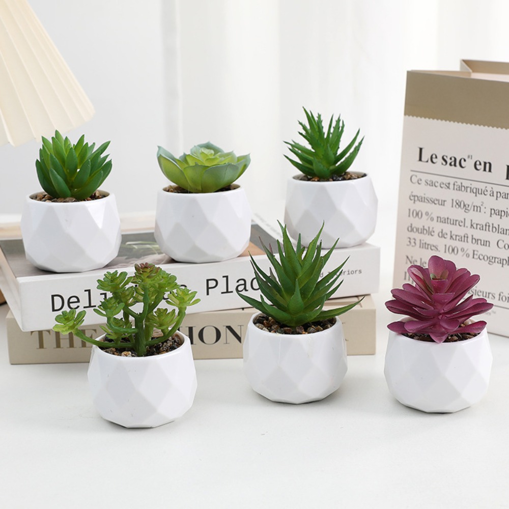 Simulatie Evergreen Kunstmatig - Cactus Mix Pot recensie en prijs