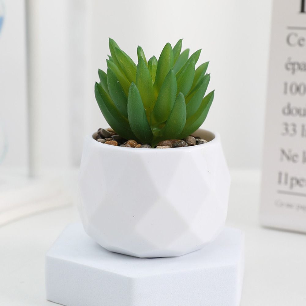 Simulatie Evergreen Kunstmatig - Cactus Mix Pot recensie en prijs