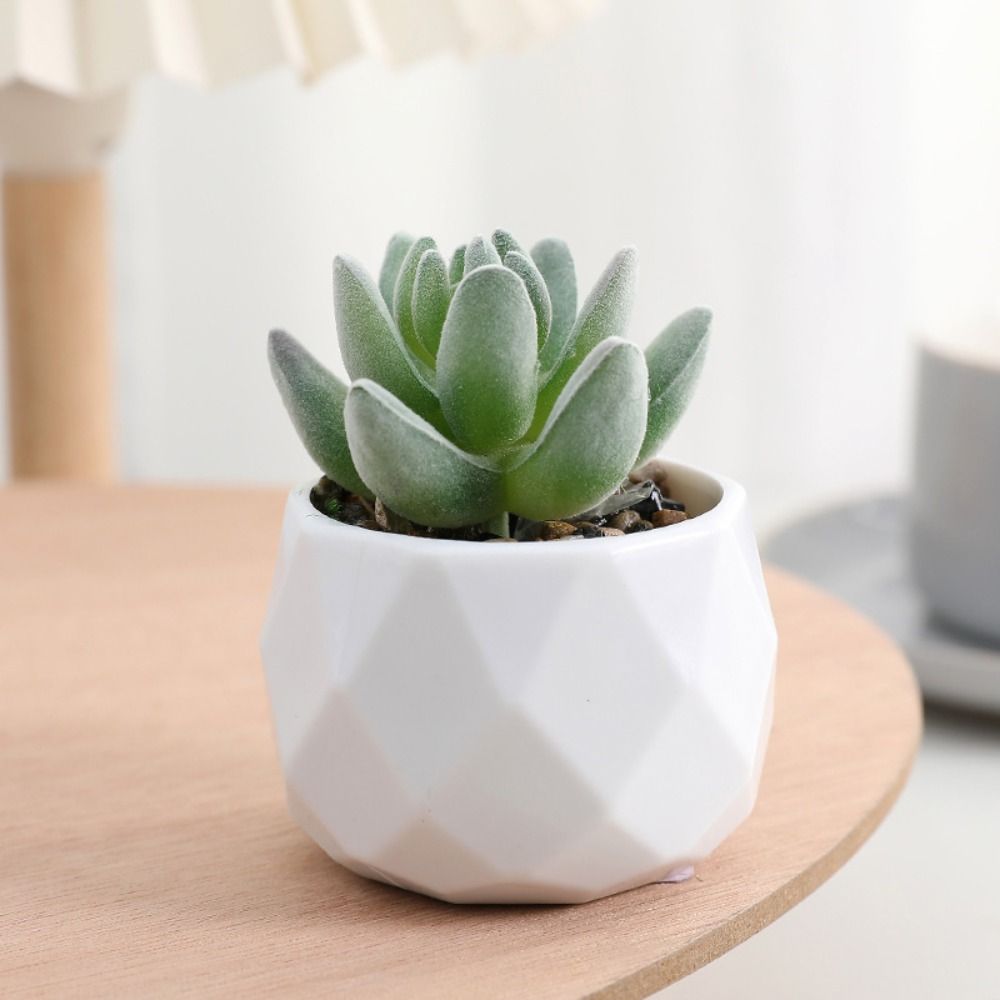 Simulatie Evergreen Kunstmatig - Cactus Mix Pot recensie en prijs