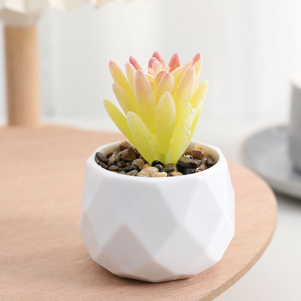 Simulatie Evergreen Kunstmatig - Cactus Mix Pot recensie en prijs