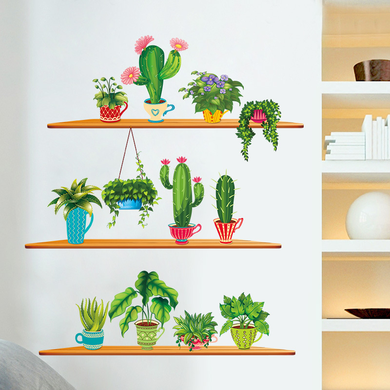 Groene Tuin Plant Cactus Ingem - Cactus Mix Pot recensie en prijs
