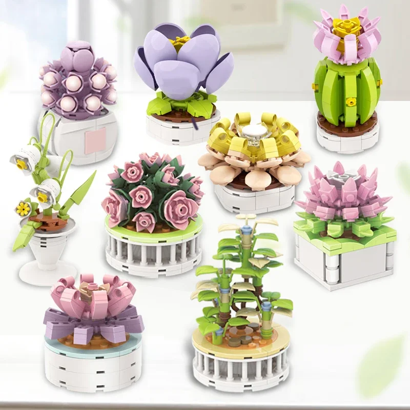 Blokkenset Stad DIY Potplanten - Cactus Mix Pot recensie en prijs