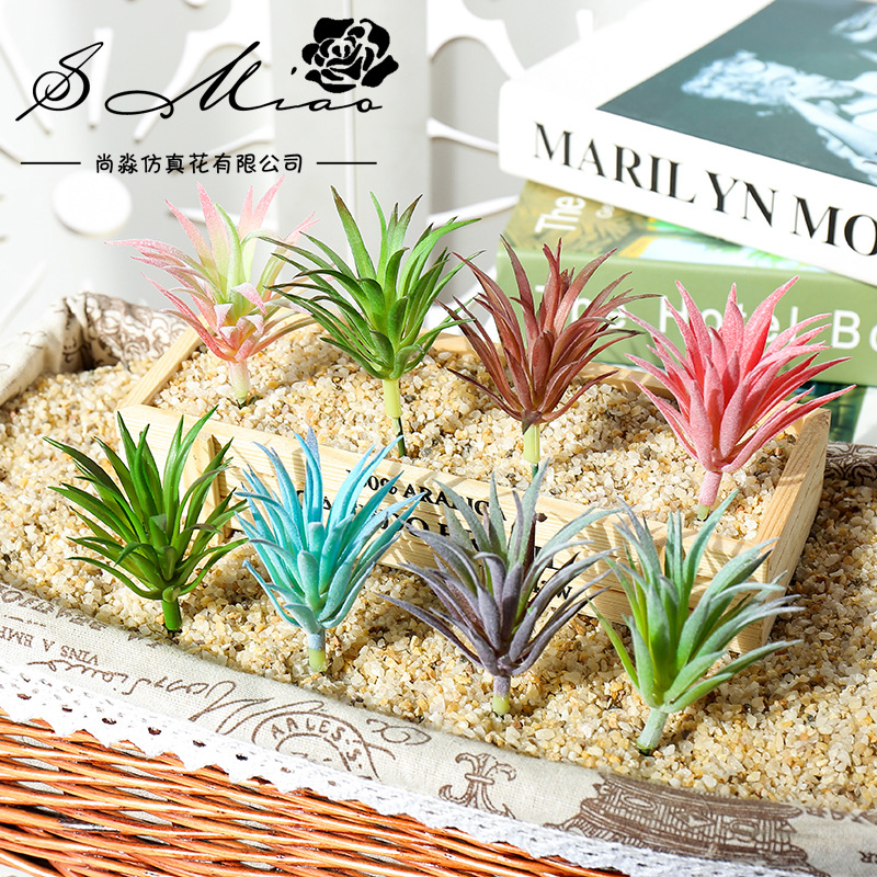 7,5x10cm Mini Ling Jiao Cao Ku - Succulent Arrangement Mini recensie en prijs