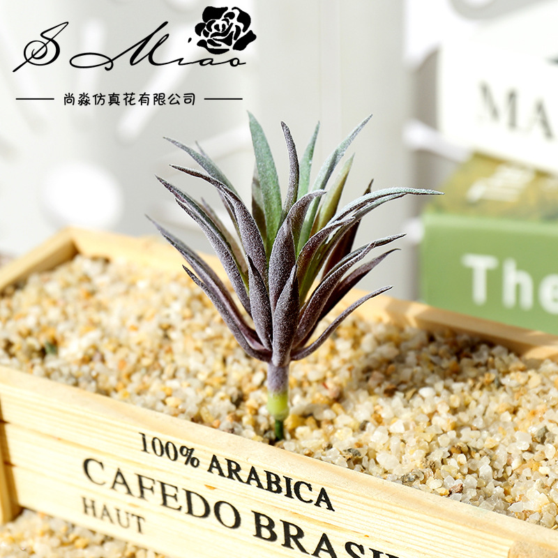 7,5x10cm Mini Ling Jiao Cao Ku - Succulent Arrangement Mini recensie en prijs