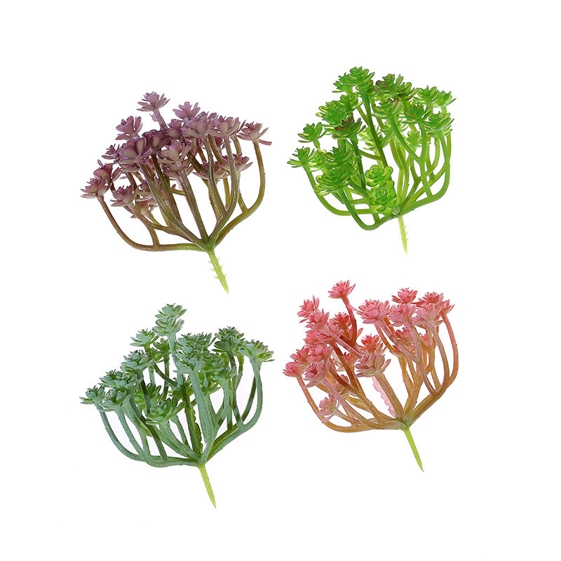 Wusmart Grote Xian Ren Ke Kuns - Succulent Arrangement Mini recensie en prijs