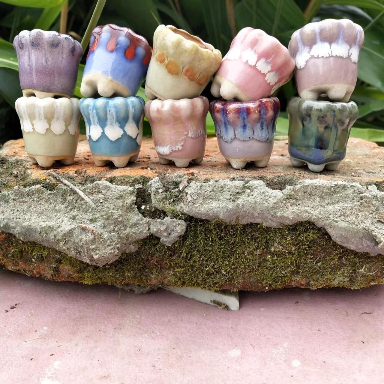 10 Stuks Mini Keramiek Fowerpo - Cactus Mix Pot recensie en prijs