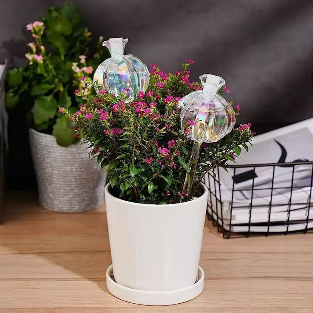 24 Cm Cactus Zelf Watering Bol - Cactus Mix Pot recensie en prijs