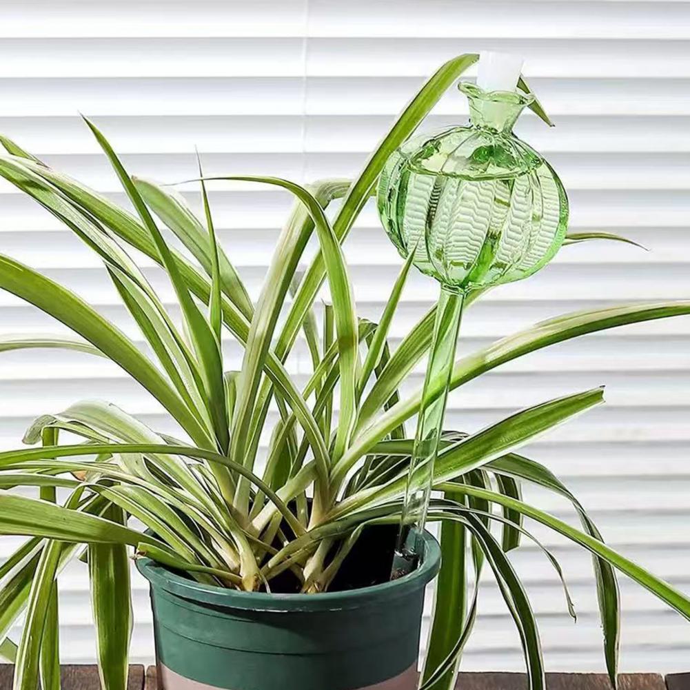 24 Cm Cactus Zelf Watering Bol - Cactus Mix Pot recensie en prijs