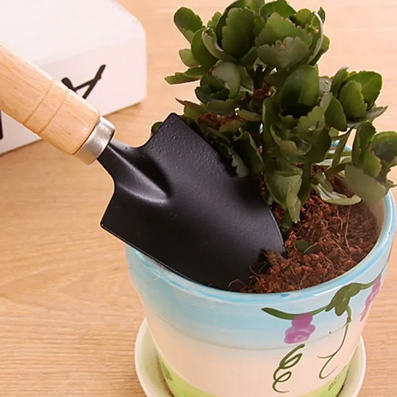 3-delige mini-tuinset, klein f - Cactus Mix Pot recensie en prijs