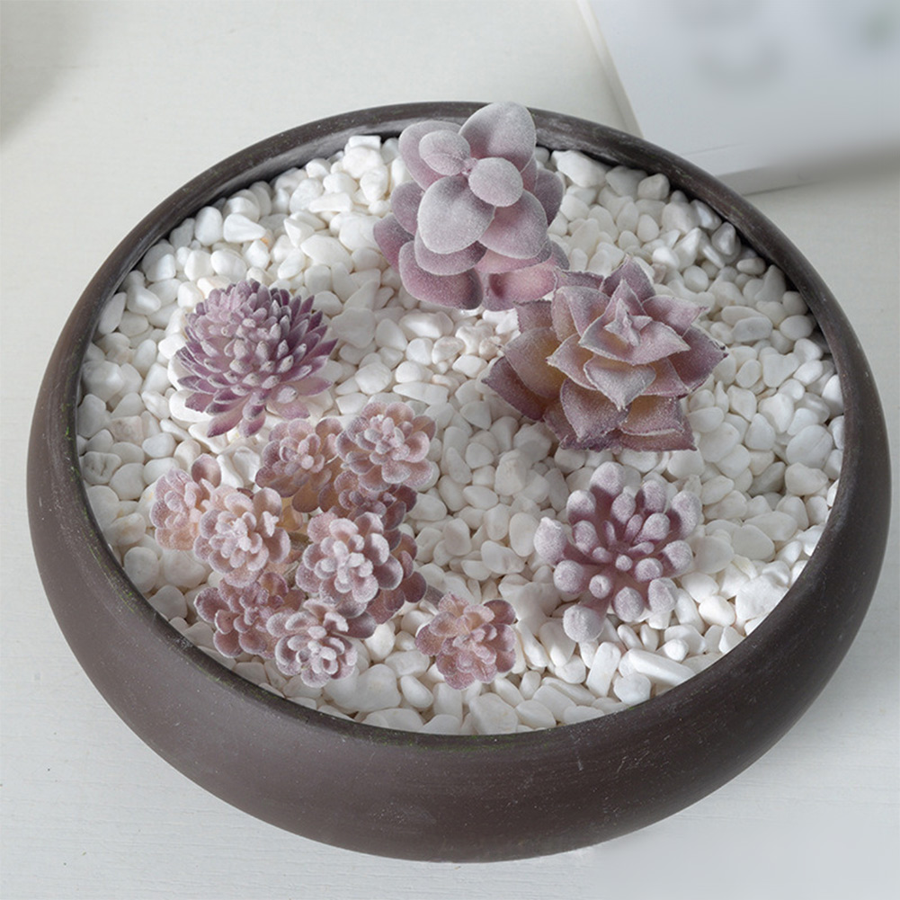 Fotografie-accessoire geschikt - Succulent Arrangement Mini recensie en prijs