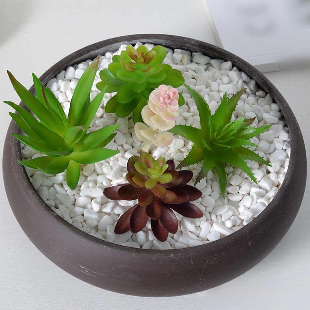 Fotografie-accessoire geschikt - Succulent Arrangement Mini recensie en prijs