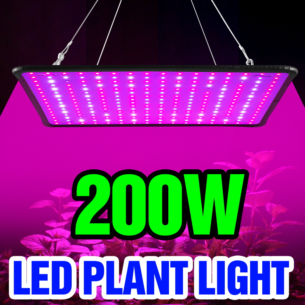 200W LED Quantum Board Grow Li - Cactus Mix Pot recensie en prijs