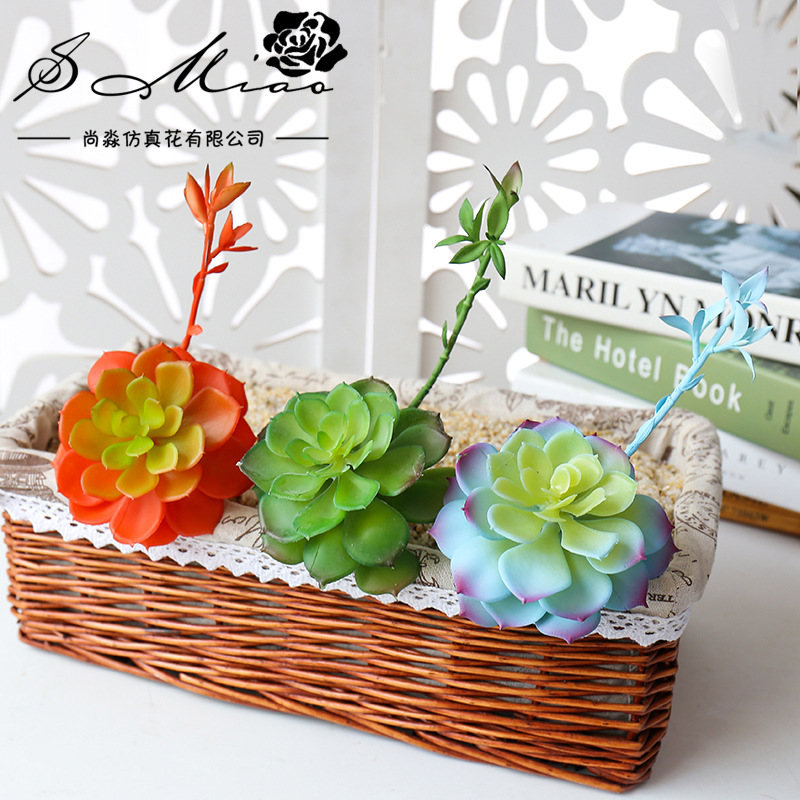 Wusmart Zhong Shi Lian Grote K - Succulent Arrangement Mini recensie en prijs