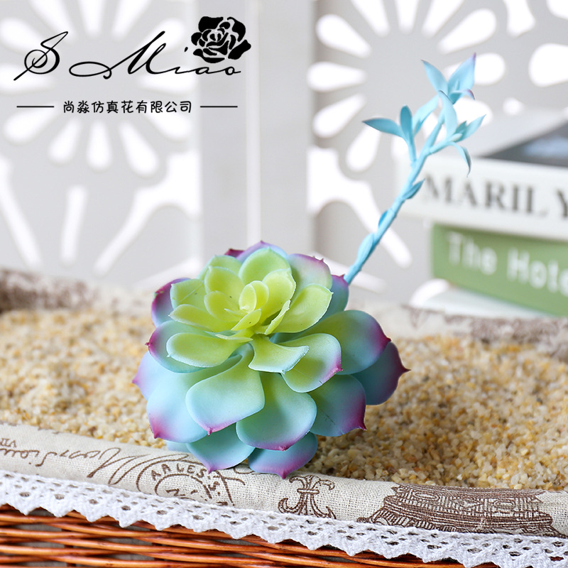 Wusmart Zhong Shi Lian Grote K - Succulent Arrangement Mini recensie en prijs