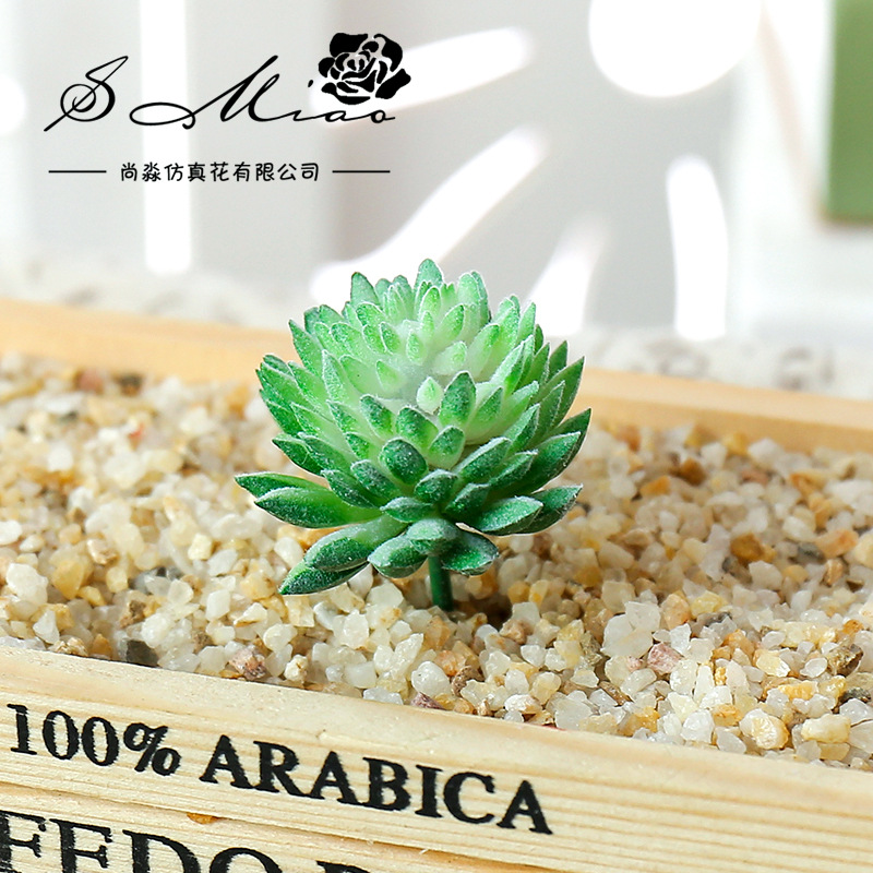 Wusmart Ji Wa Lian Kunstmatige - Succulent Arrangement Mini recensie en prijs