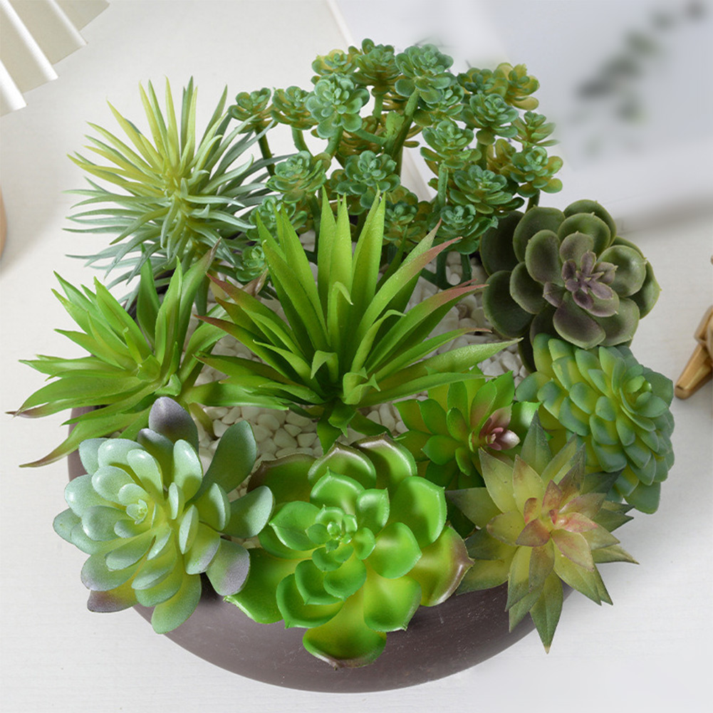 Modern kunstmatig succulentena - Succulent Arrangement Mini recensie en prijs