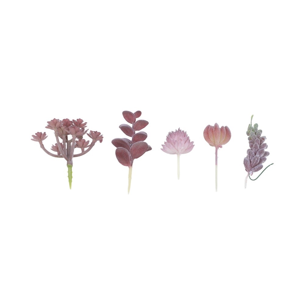 Modern kunstmatig succulentena - Succulent Arrangement Mini recensie en prijs