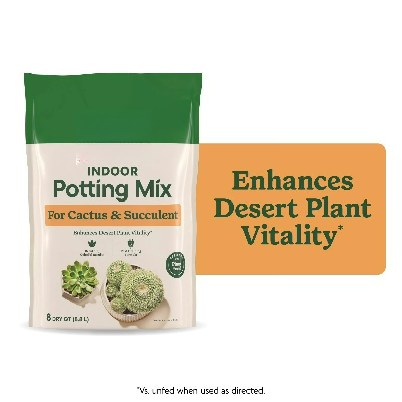 (2-pack) Binnenpotmix voor cac - Cactus Mix Pot recensie en prijs