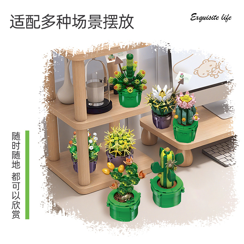 JIE-STAR JJ9175 Cactus Vetplan - Cactus Mix Pot recensie en prijs