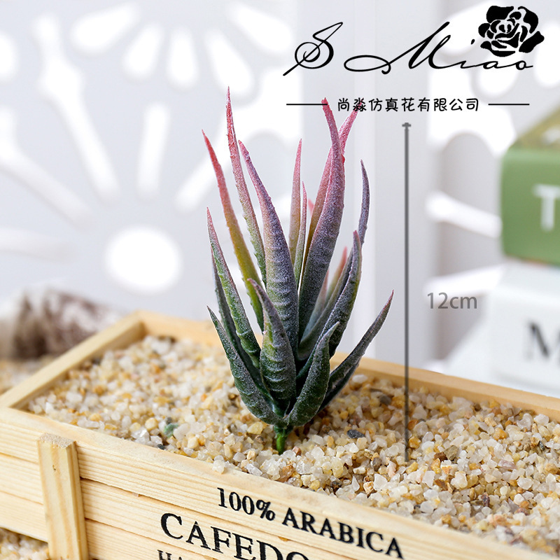 Wusmart Ban Ma Lu Hui Kunstpla - Succulent Arrangement Mini recensie en prijs