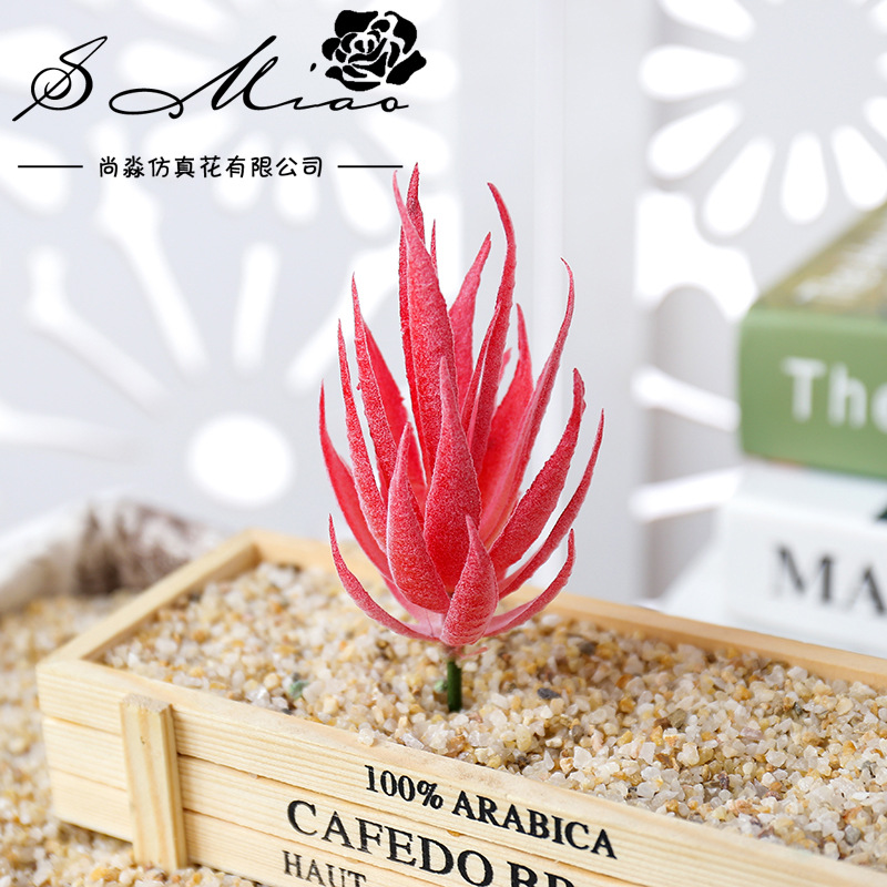 Wusmart Ban Ma Lu Hui Kunstpla - Succulent Arrangement Mini recensie en prijs