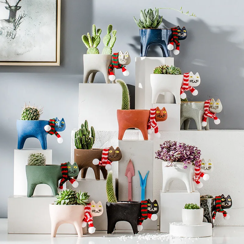Kat Bloempot Creatieve Leuke K - Cactus Mix Pot recensie en prijs