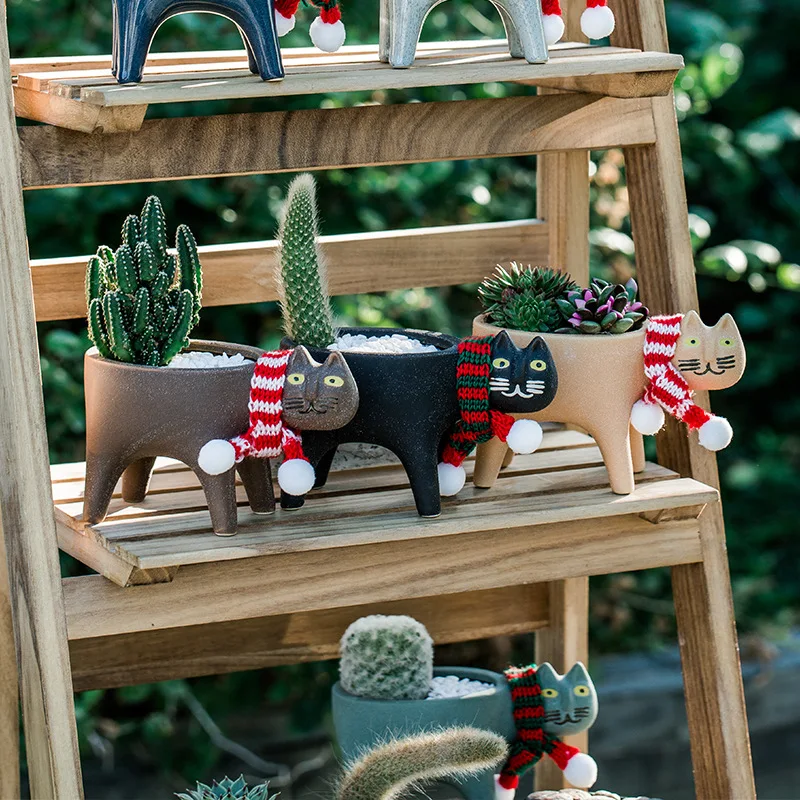 Kat Bloempot Creatieve Leuke K - Cactus Mix Pot recensie en prijs