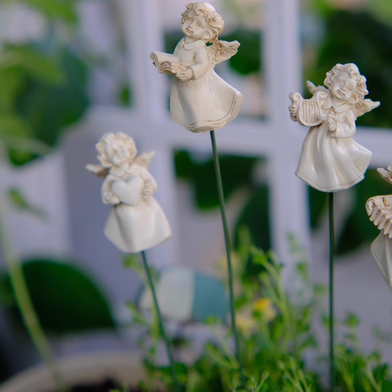 Engel bloem arrangeur voor vet - Succulent Arrangement Mini recensie en prijs